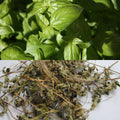 Basilic entier séché 200g – Enrichissement aromatique pour hamster