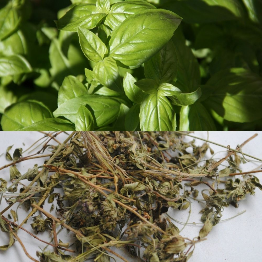 Basilic entier séché 200g – Enrichissement aromatique pour hamster