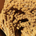 Épis de millet jaune ou rouge 50 g