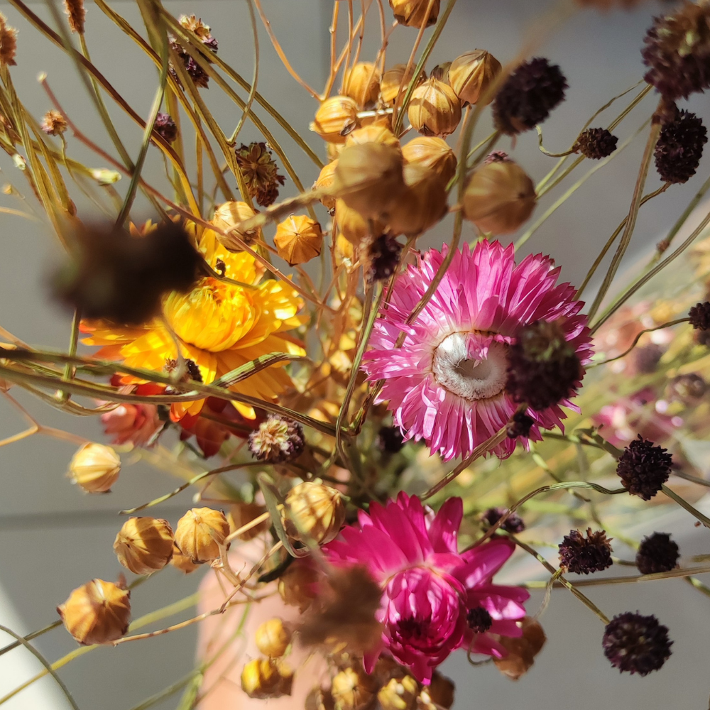 Bouquet naturel - Lin, Pimprenelle & immortelles