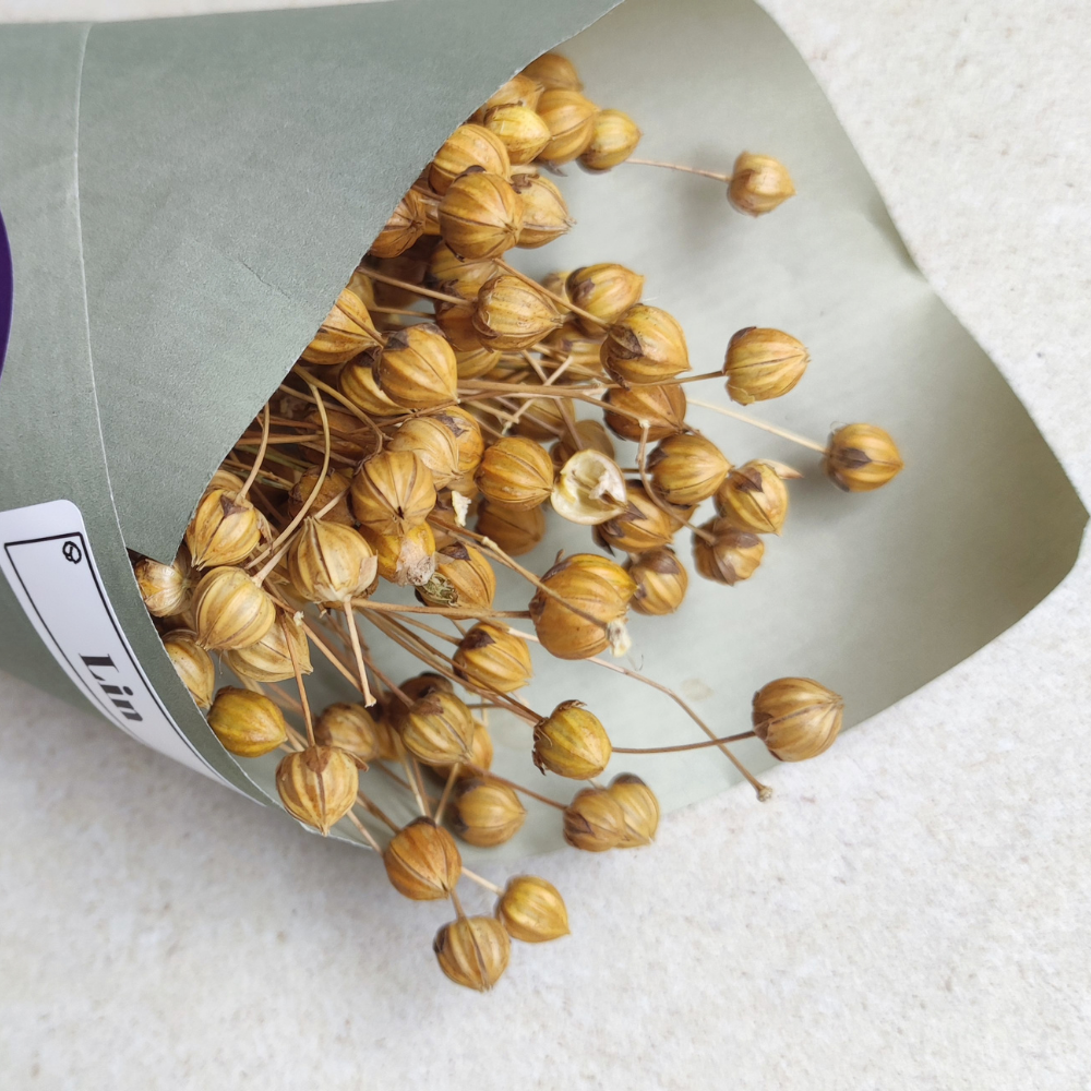 Bouquet de lin séché  100 % français