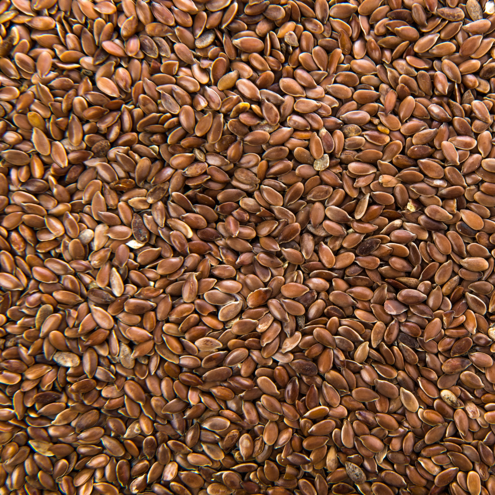 Graines de lin brun 100 g – Source d'oméga-3 pour gerbilles et hamsters