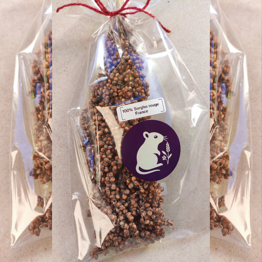 Épis de sorgho rouge 70 g – de gros grains pour gerbilles et hamsters