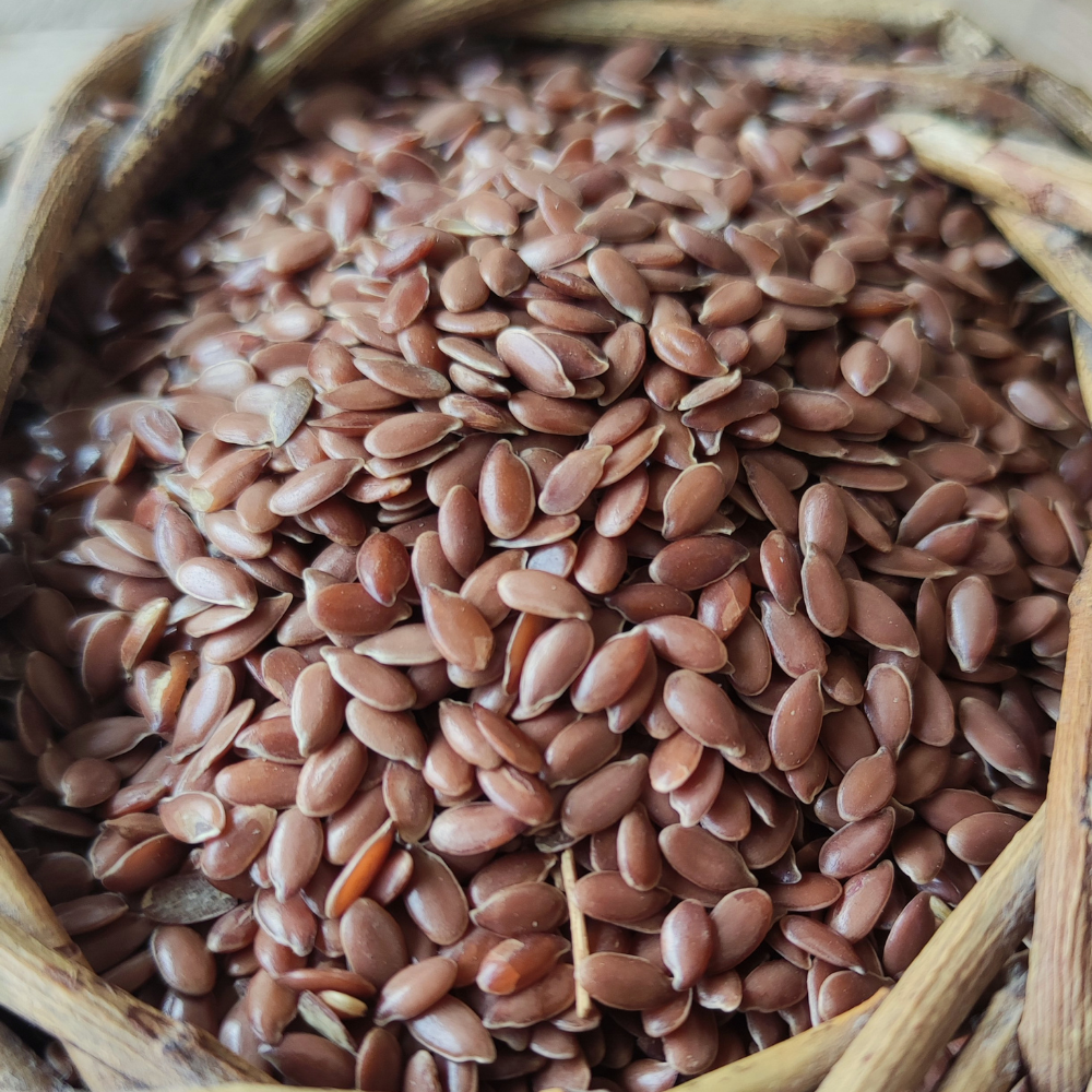 Graines de lin brun 100 g – Source d'oméga-3 pour gerbilles et hamsters