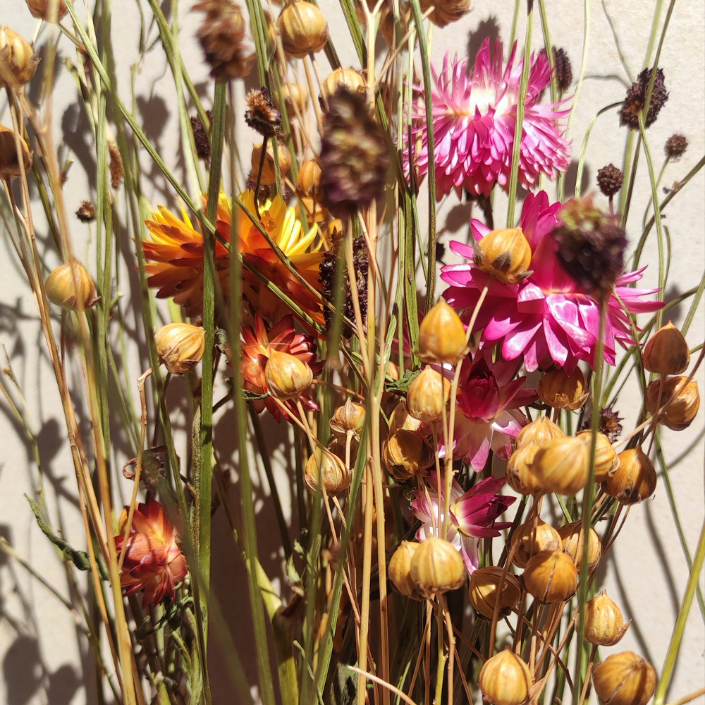 Bouquet naturel - Lin, Pimprenelle & immortelles